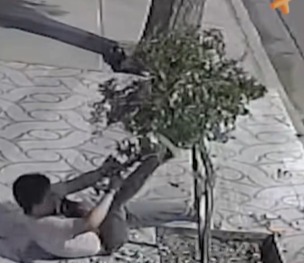 Hombre protagoniza insólita pelea con un árbol; ¿Perdió o ganó?