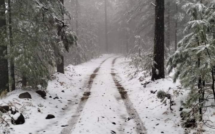 México podría enfrentar un invierno más frío de lo normal