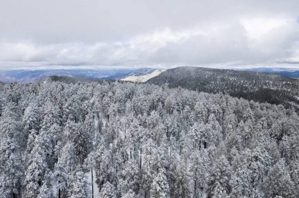Frente frío 16: Los estados donde podría nevar este fin de semana