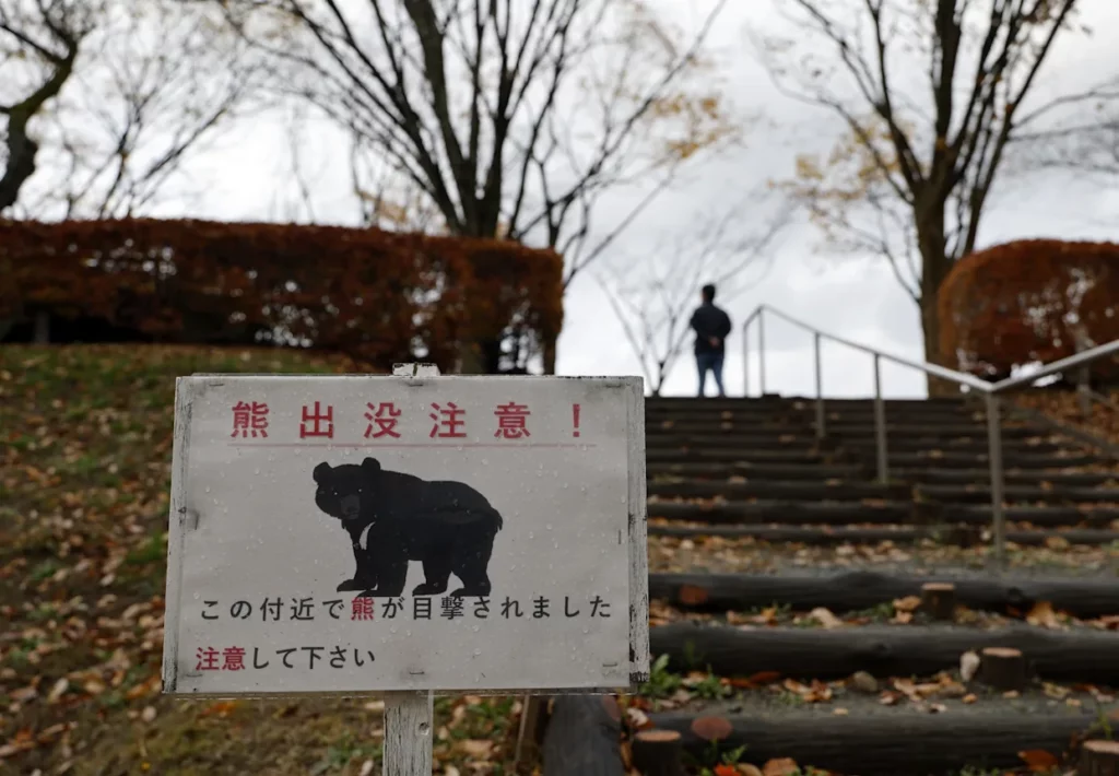 Policía de Japón recibe autorización para «cazar» ante ola de ataques de osos