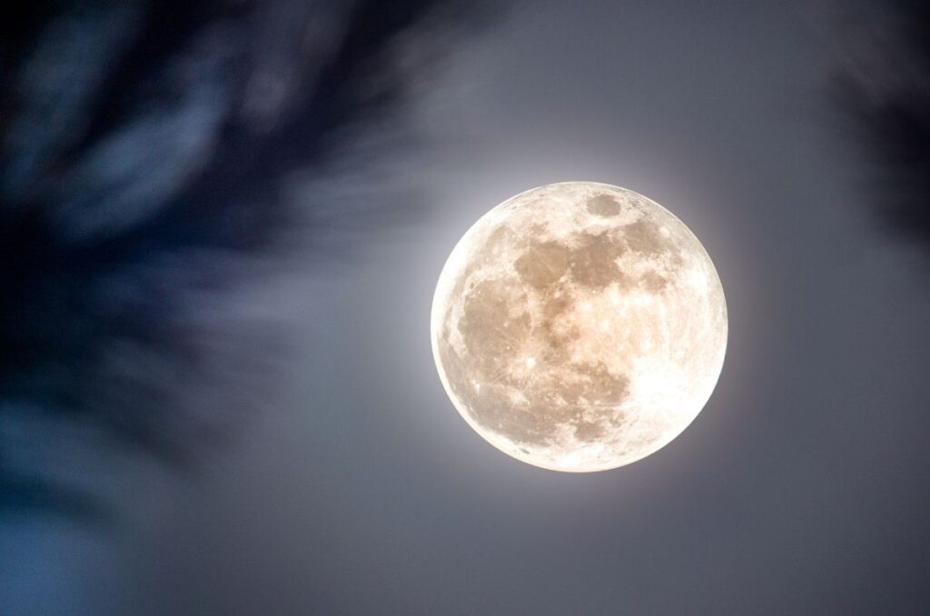 La Superluna de Castor está por llegar y cambiará tu noche por completo