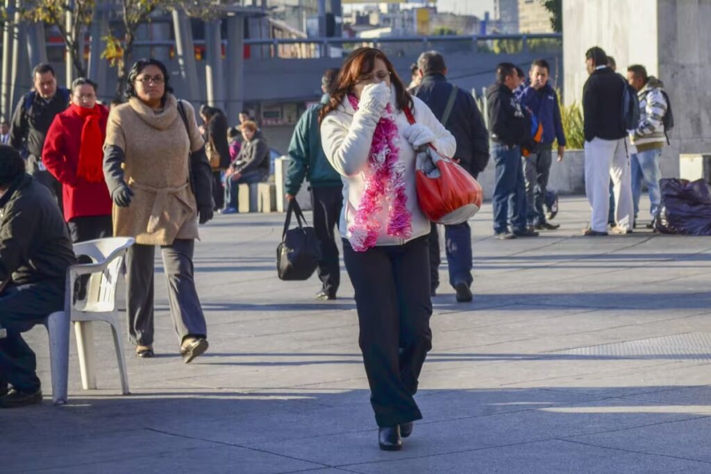 Caen las primeras heladas en el noroeste de Durango: Protección Civil pide extremar precauciones