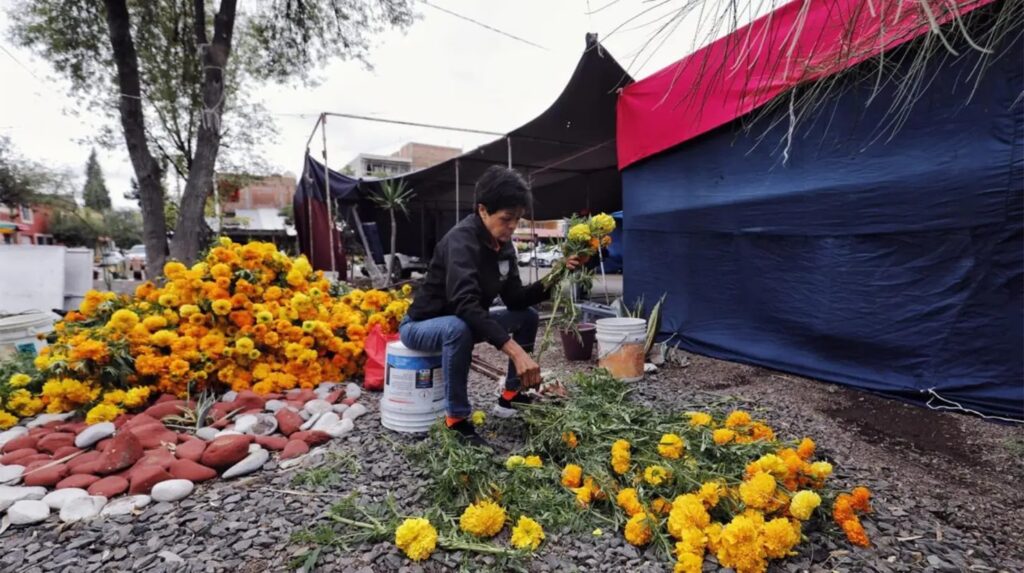 Baja afluencia en panteones de Santiago reduce ventas hasta en un 30 %