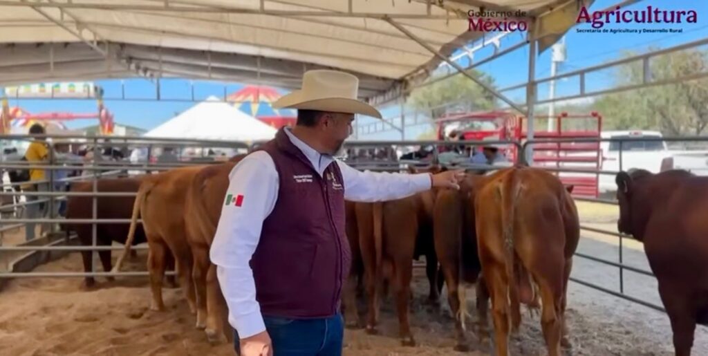 Entregarán sementales a productores ganaderos en Santiago Papasquiaro