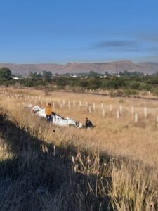 Trágico accidente durante esta mañana