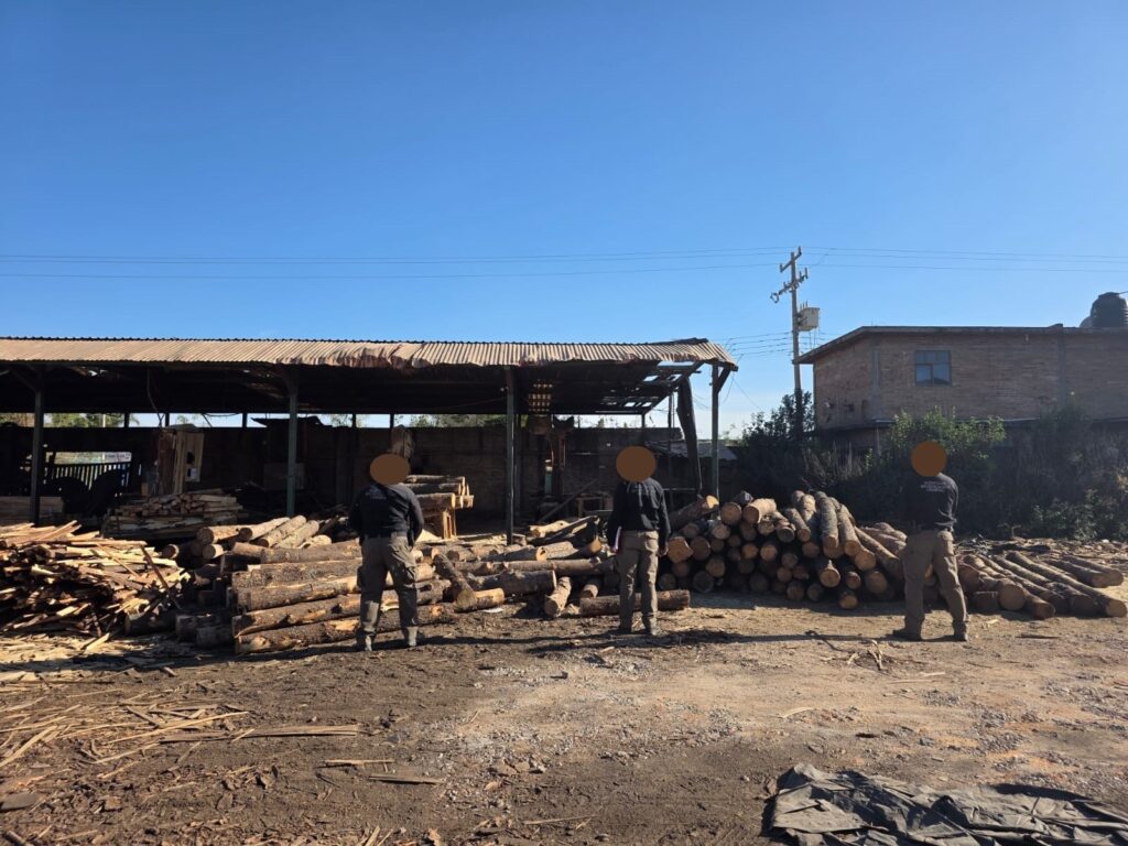 Por delito federal FGR asegura el aserradero