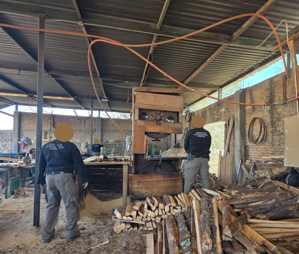 Segundo cateo de la FGR asegura otro aserradero