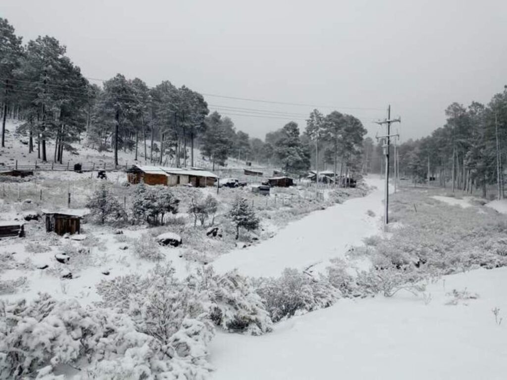 Arranca la temporada invernal 2025-2026: Salud alerta por aumento de enfermedades respiratorias