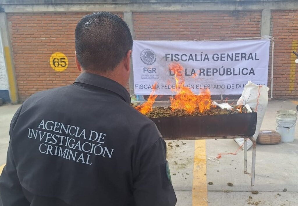 Aseguran y queman casi 100 kilos de sustancias