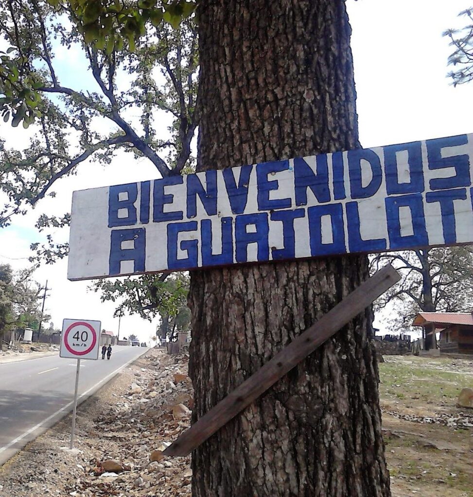 Al parecer tras picarle un animal perdió la vida