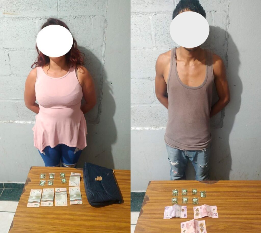 Operativo Dragón detiene a una mujer y un varón con sustancias