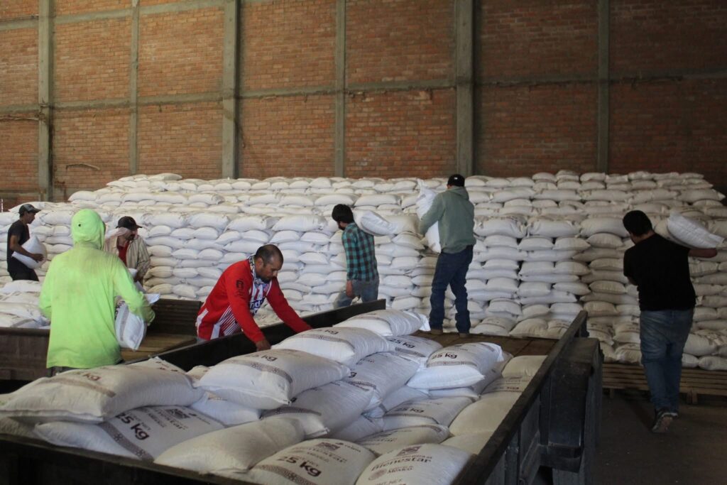 Acopio de frijol en Durango avanza lento: van 13 mil de 40 mil toneladas