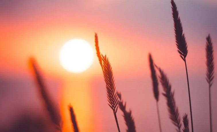 ¿Cuándo empieza el invierno 2025 en México? Fecha y hora del solsticio de invierno