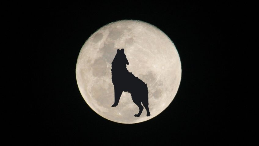 Superluna del Lobo iluminará México como la primera Luna Llena de 2026
