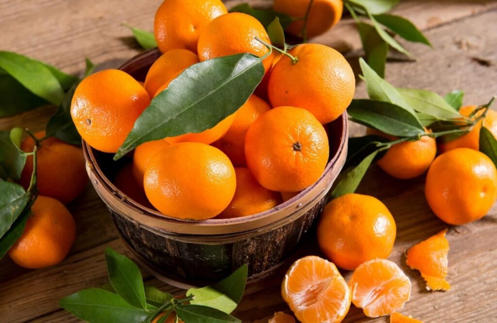 Mandarina se encarece y precio llega a los 80 pesos por kilo