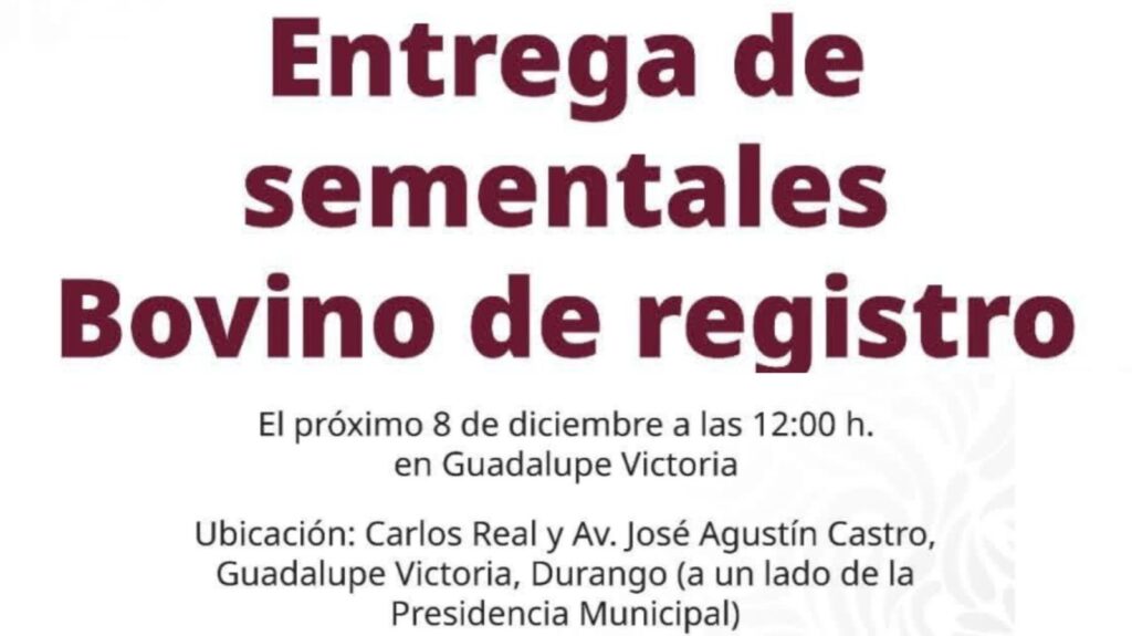 Gobierno federal y estatal realizarán entrega de sementales bovinos de registro