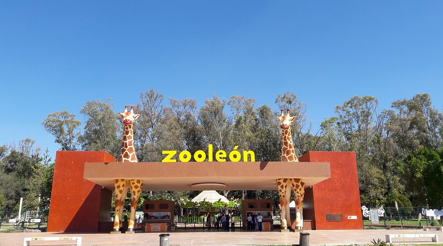 Cierre temporal del Zoológico de León por denuncias de maltrato animal