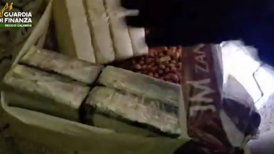 Italia decomisa 534 kilos de cocaína ocultos en cacahuetes procedentes de Latinoamérica