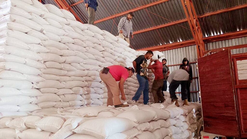 Gobernador llama a denunciar extorsión a productores de frijol en Durango