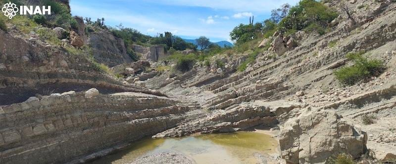 INAH confirma nuevas huellas de dinosaurios