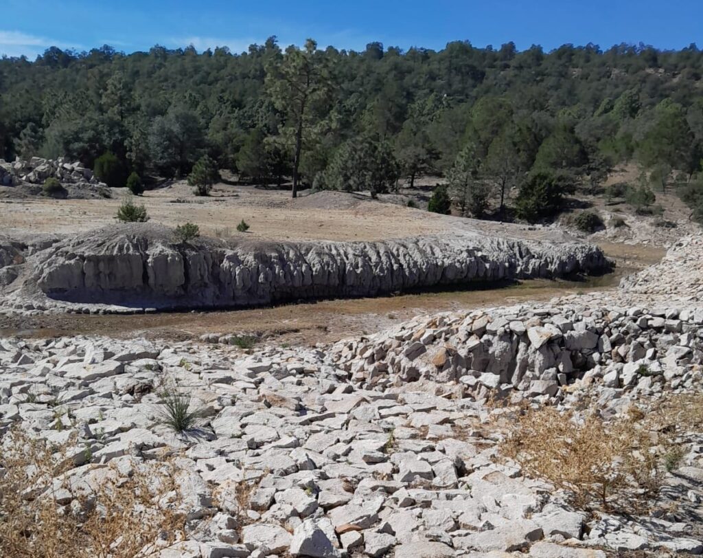 Restauración de cuencas en Durango tuvo inversión mínima en 2025