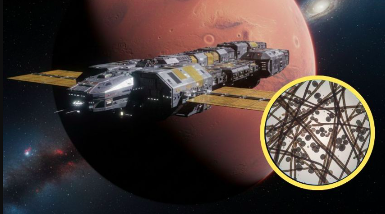 Los ‘Hongos Negros’ que Podrían Blindar a la NASA