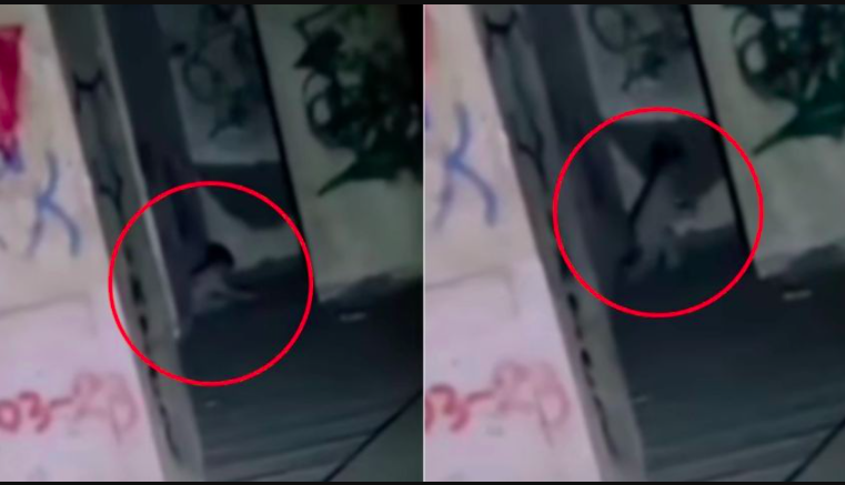 Captan a niño fantasma durante exploración en una hacienda abandonada