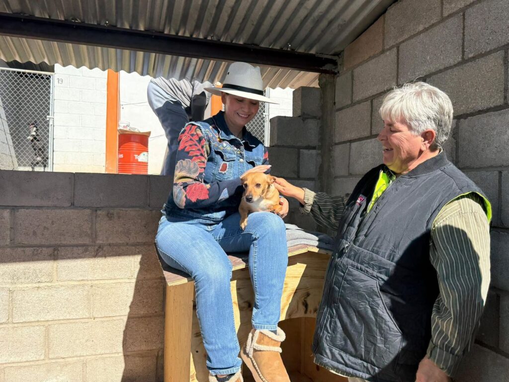 Entrega de habitáculos para el bienestar animal por Sol Sánchez y Alfredo Lozoya