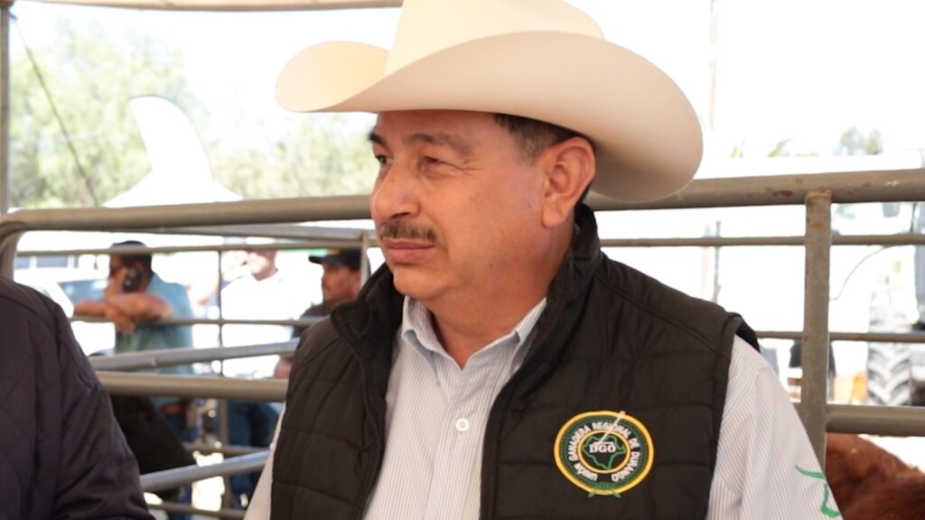Gusano barrenador deja pérdidas multimillonarias a la ganadería