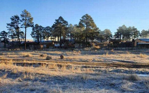 El Vergel se Congela: El Lugar Más Frío de Chihuahua