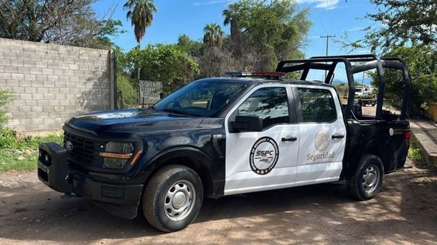 Federales aseguran en Durango cargamento de armas y cartuchos