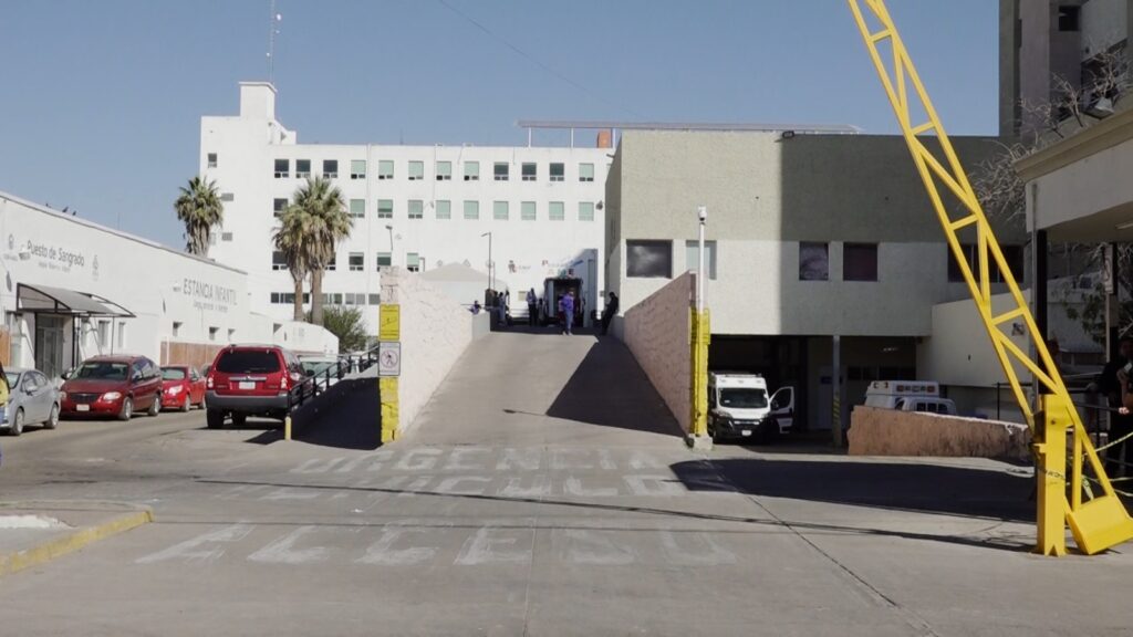 Borrego topeteó a niña y le causó heridas