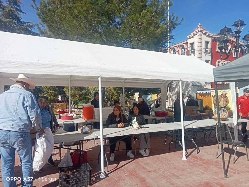 Ofrecen productos de Sembrando Vida en Plaza Municipal