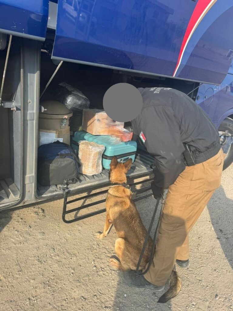 Federales hallan “clavo” de sustancias en autobús