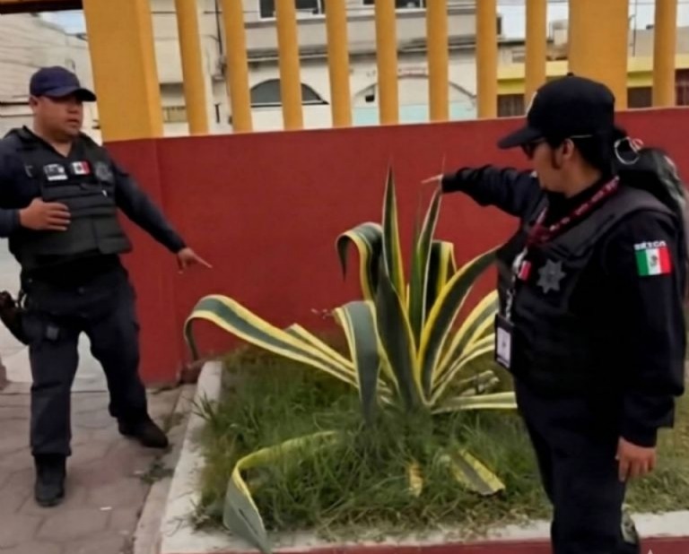 Abandonan a bebé de dos días de nacido en jardinera de iglesia en plena Navidad