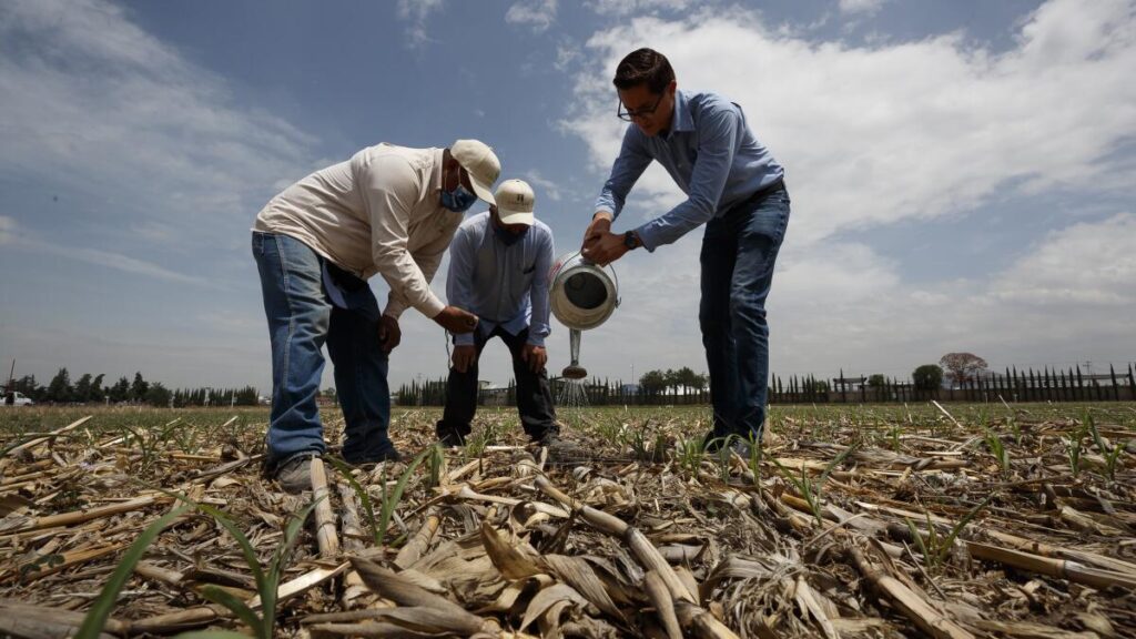 ONU incluye a México en programa global de agricultura sostenible