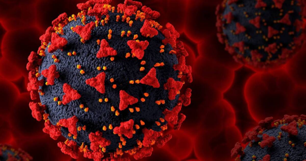 Influenza H3N2: qué es, de dónde viene y por qué preocupa a autoridades sanitarias
