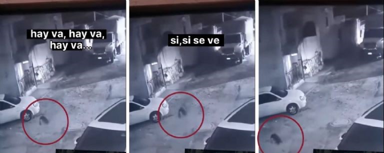 VIDEO: Cámara capta presunta “cabeza fantasma» flotando en la madrugada