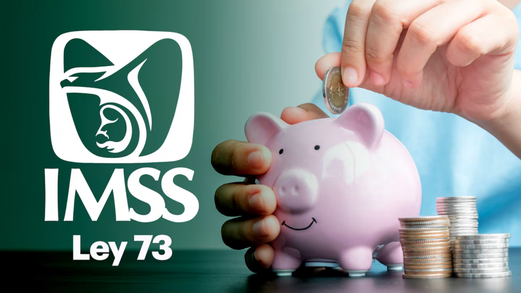 Por qué desaparecerán las pensiones por Ley 73