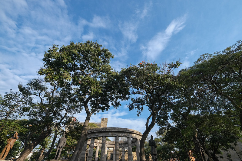 Identifica Imeplan más de 1.3 millones de árboles en zonas urbanas del Área Metropolitana de Guadalajara