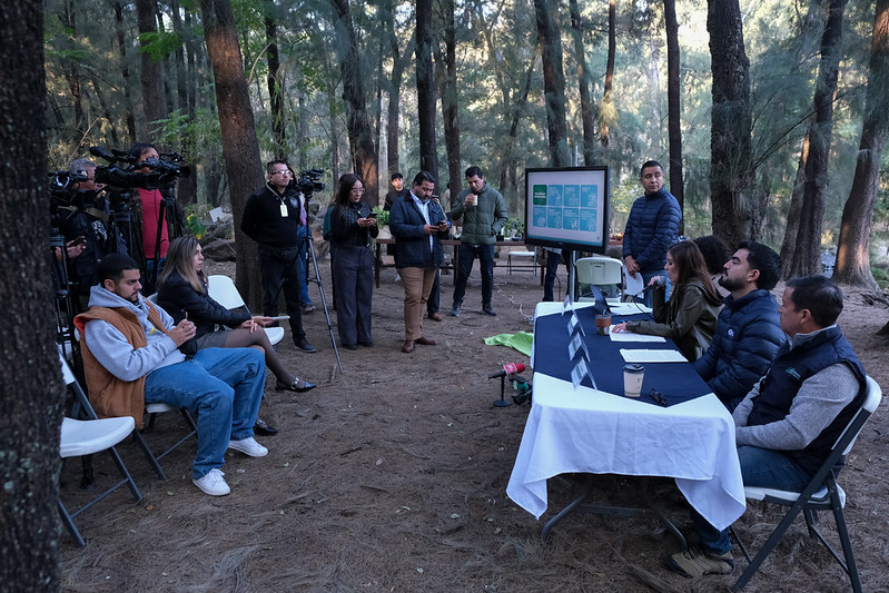 Invitan AMBU y Gobierno de Guadalajara a participar en el acopio de árboles de Navidad 2026