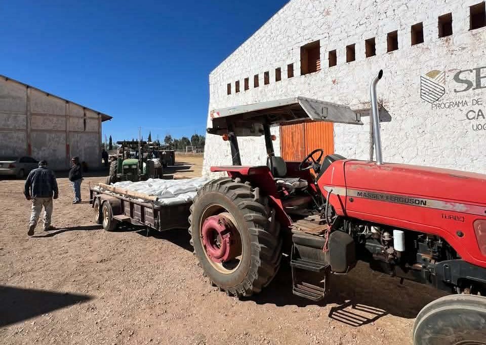 Fallas en acopio de Segalmex dejan en incertidumbre a productores de frijol