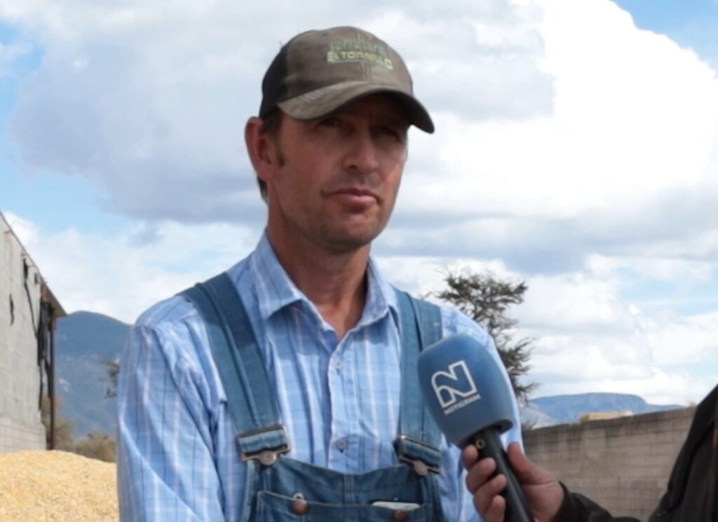 Maíz en crisis: precios se desploman y productores venden por debajo de costos