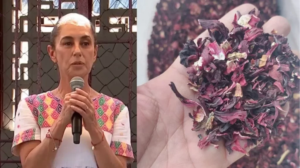 Sheinbaum refuerza soberanía alimentaria y anuncia Jamaica del Bienestar