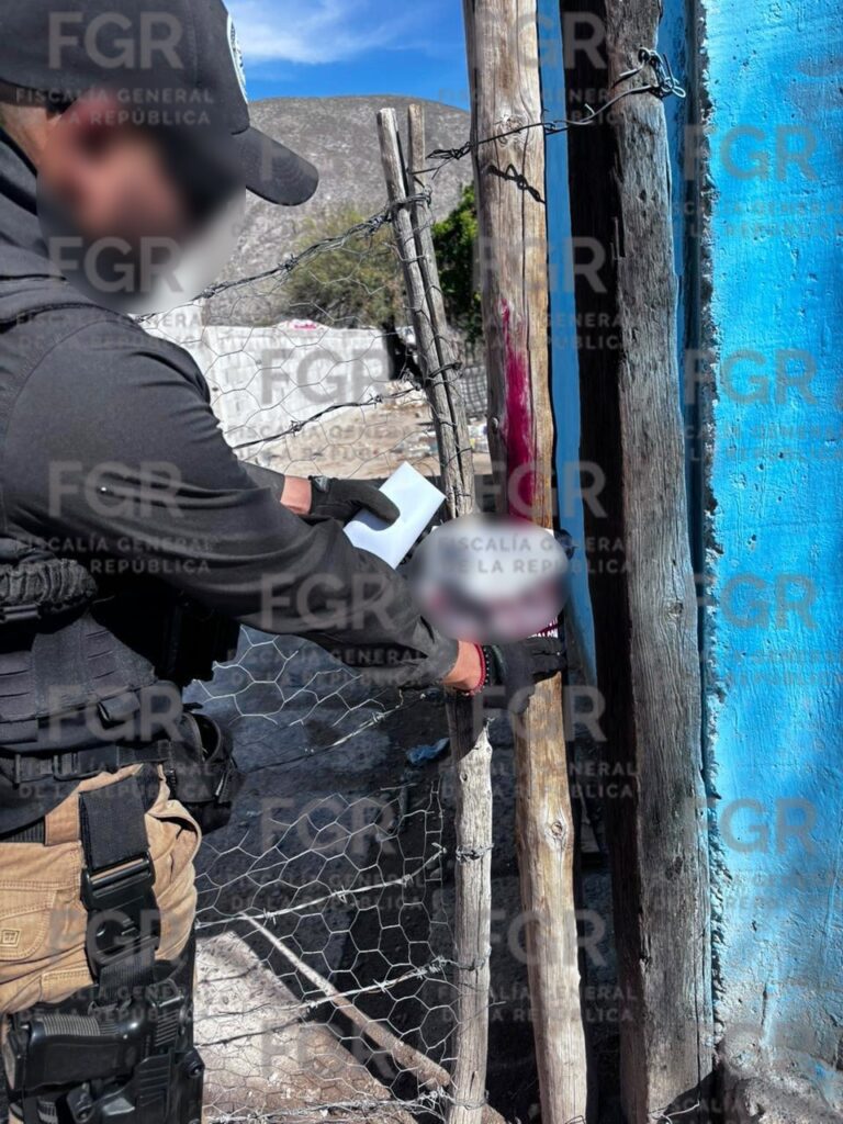 Fuerzas federales aseguran gasolinera ilegal en Durango, moneda nacional, dólares y combustible