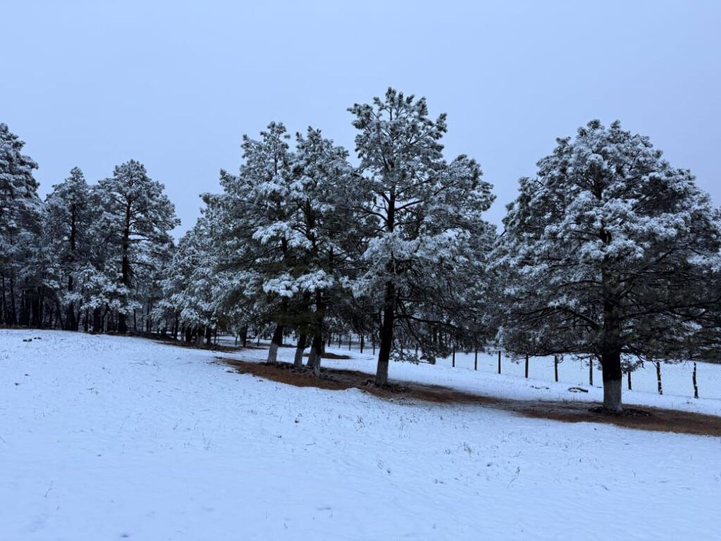 Gobierno del Estado refuerza atención y operativos ante la segunda tormenta invernal en Durango