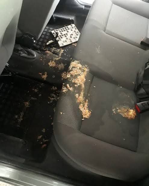Su hijo deja uber «huacareado» y se queja por que le cobraron para limpieza