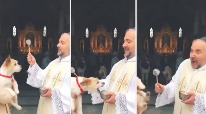 Perrito sorprende a sacerdote con una mordida mientras era bendecido