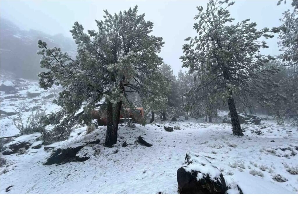 Frente frío 26 provocará heladas y temperaturas de hasta -10 °C