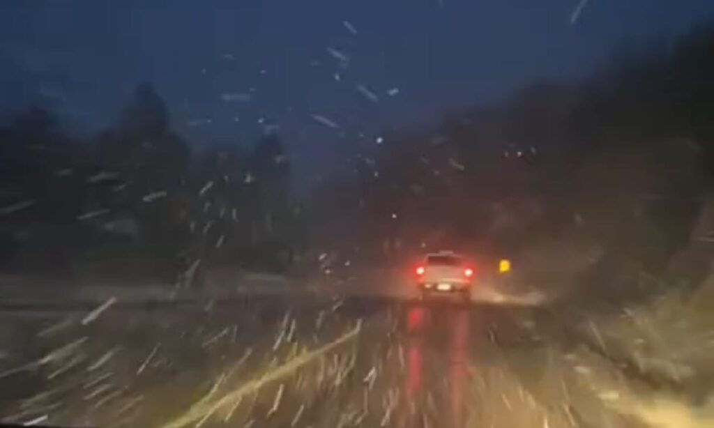 Reportan caída de nieve en carreteras de la Sierra de Chihuahua